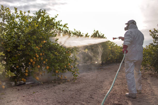 Professional Pest Control in Holiday City Berkeley, NJ